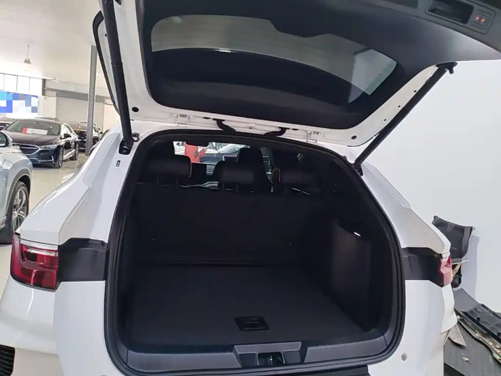 BYD PLUS New Energy — миниатюра 19
