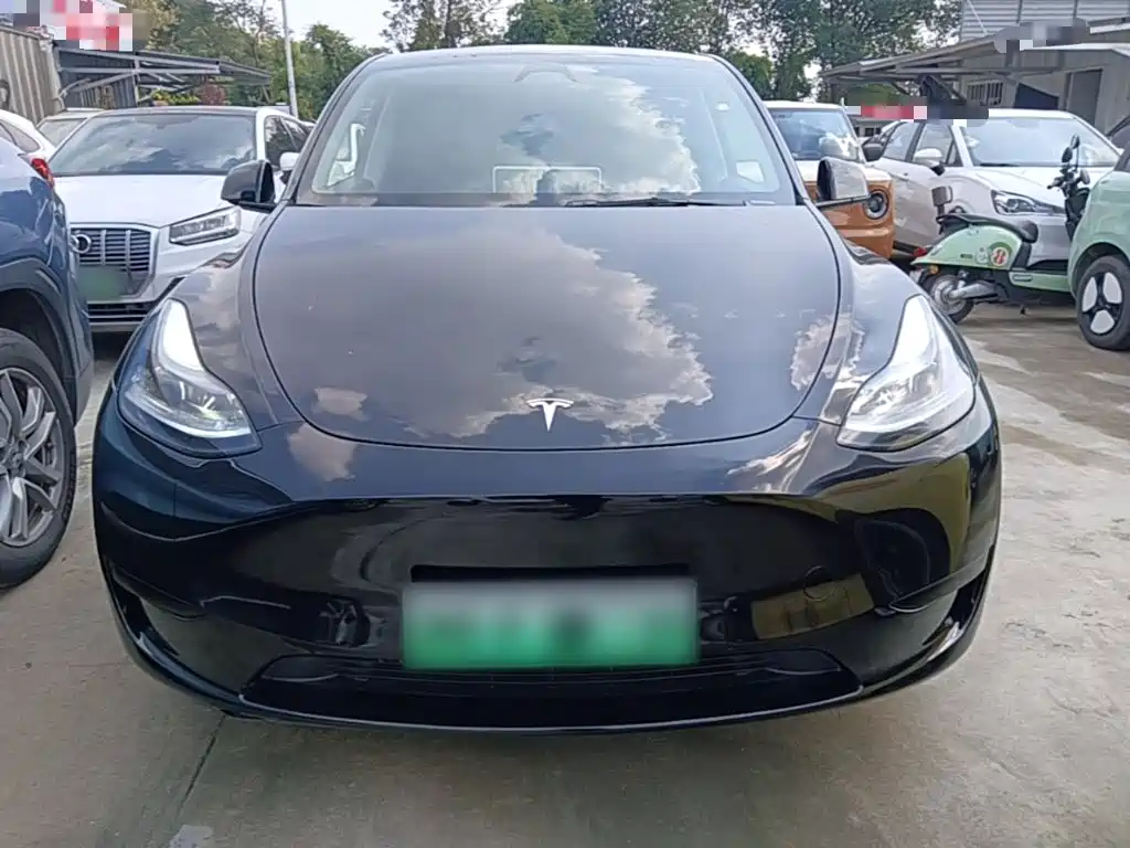 Tesla Model Y — миниатюра 3