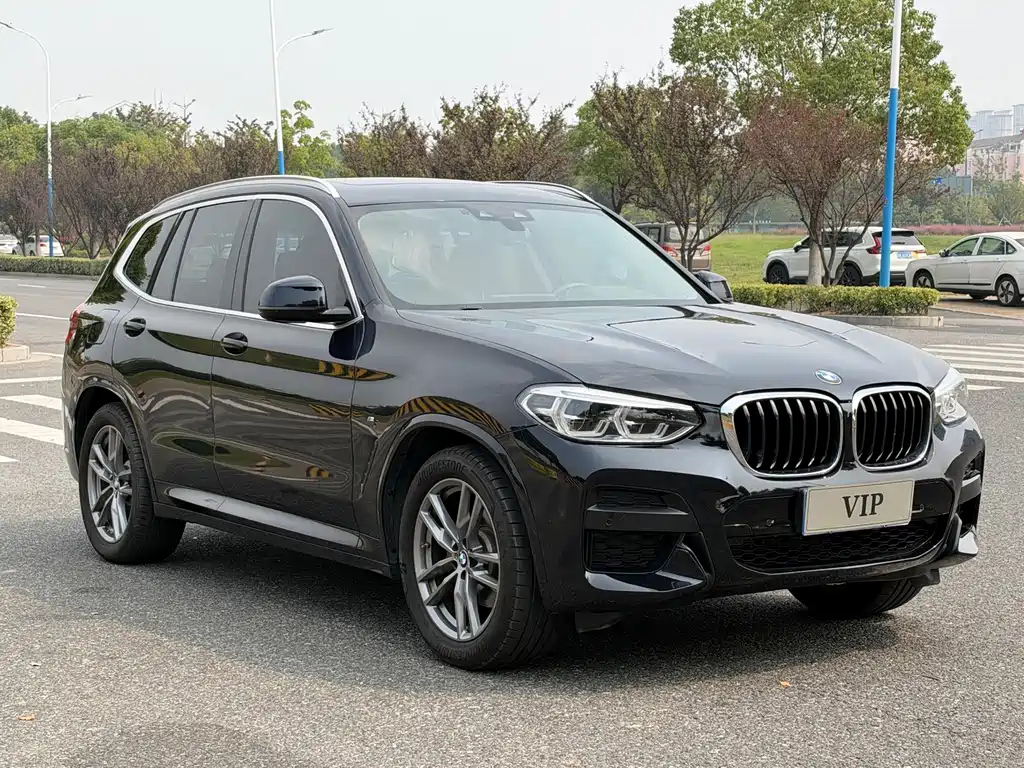 BMW X3 — миниатюра 3