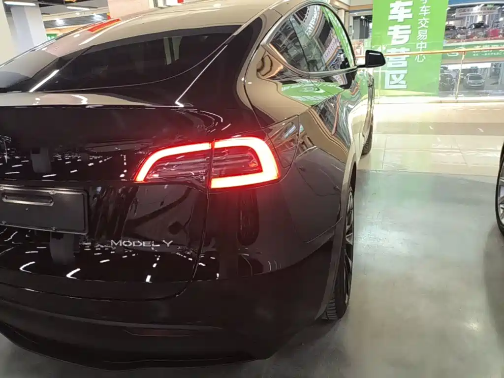 Tesla Model Y — миниатюра 8