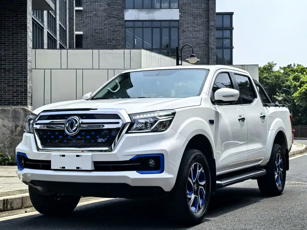 Dongfeng Rich 6 New Energy