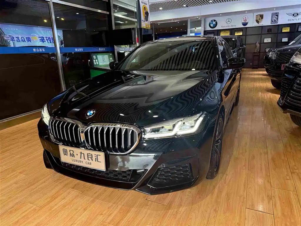 BMW 5 Series — миниатюра 3