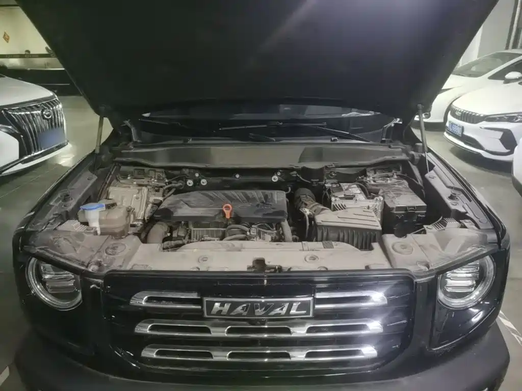 Haval Big Dog — миниатюра 20