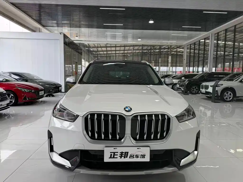 BMW X1 — миниатюра 2