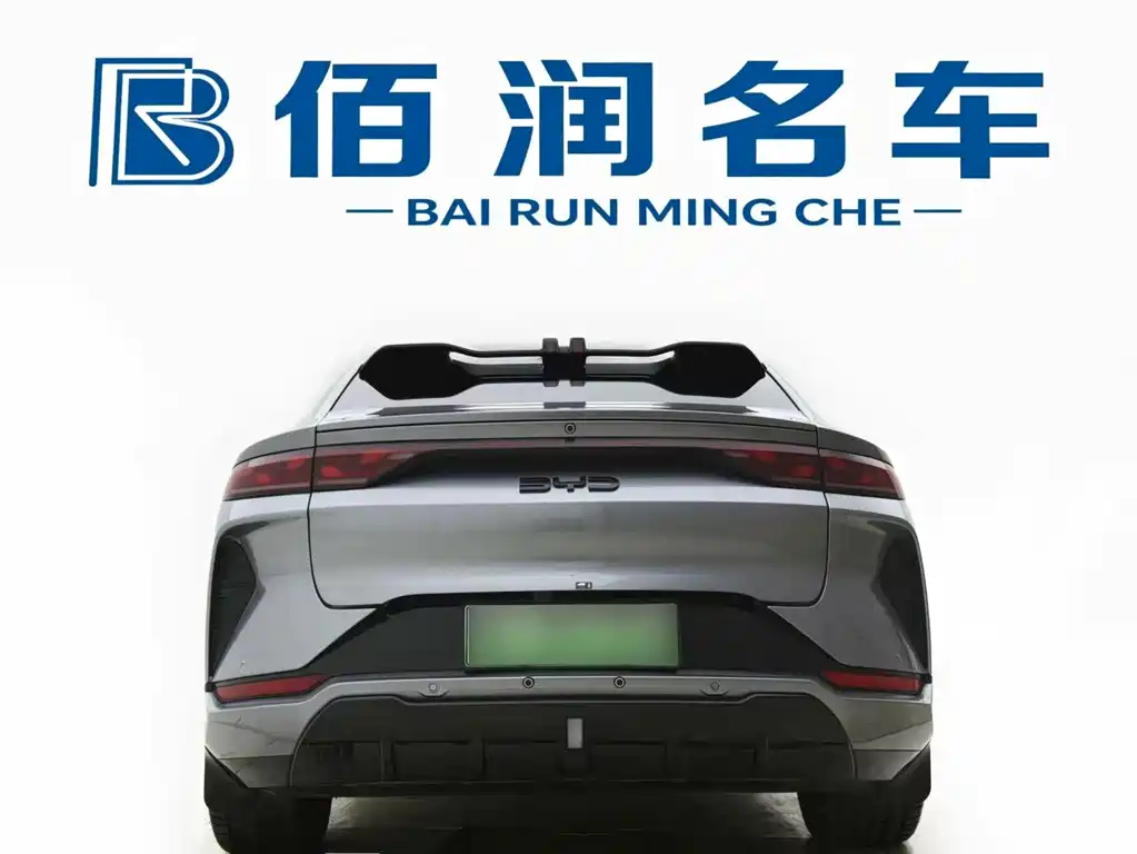 BYD L EV — миниатюра 11