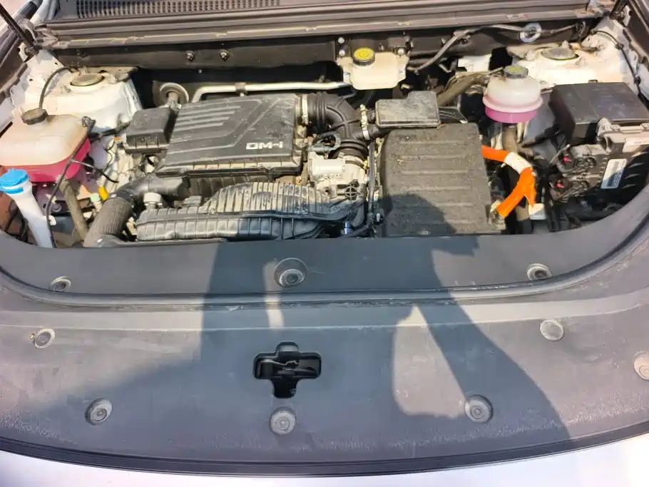 BYD Pro New Energy — миниатюра 10