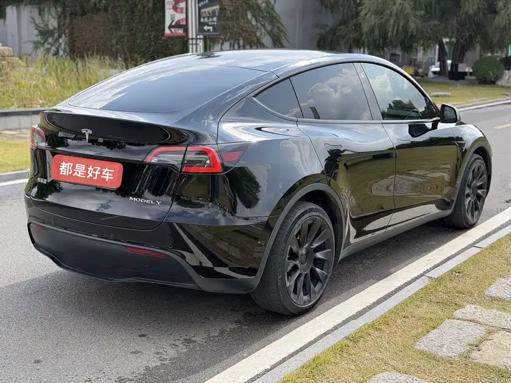 Tesla Model Y — миниатюра 7