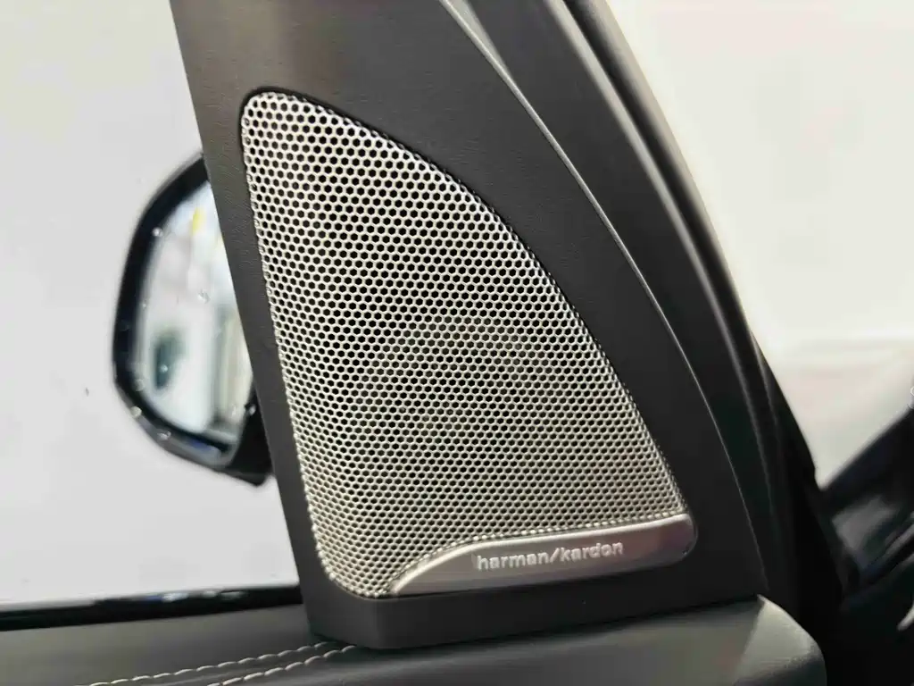 BMW X5 — миниатюра 14