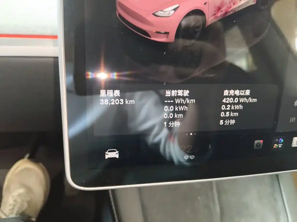 Tesla Model Y — миниатюра 12
