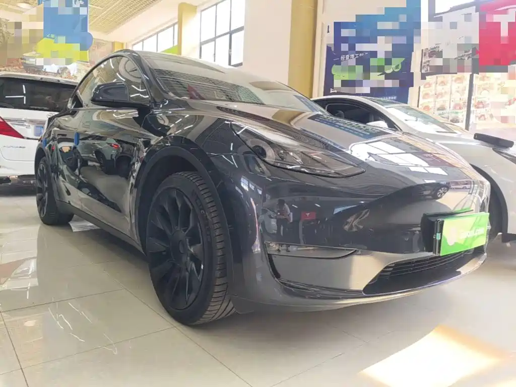 Tesla Model Y — миниатюра 4