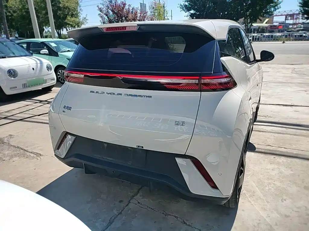 BYD Seagull 2024 305km