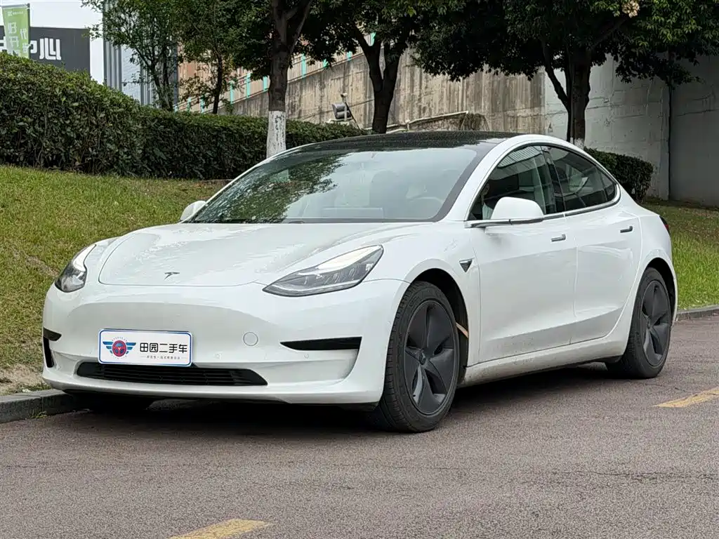 Tesla Model 3 2020