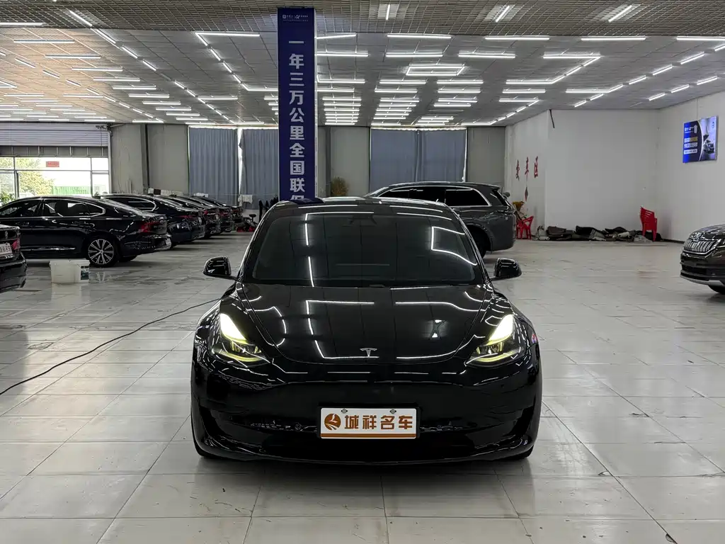 Tesla Model 3 — миниатюра 2