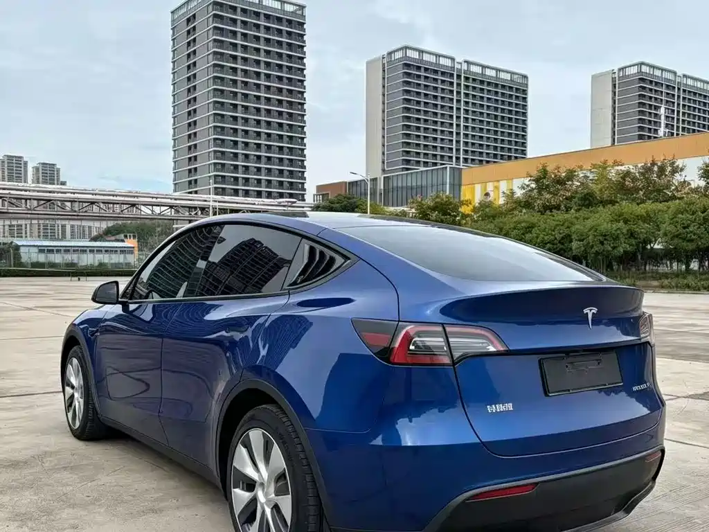 Tesla Model Y — миниатюра 5