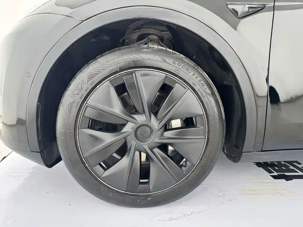 Tesla Model Y — миниатюра 12