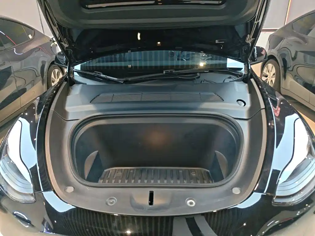 Tesla Model Y — миниатюра 20