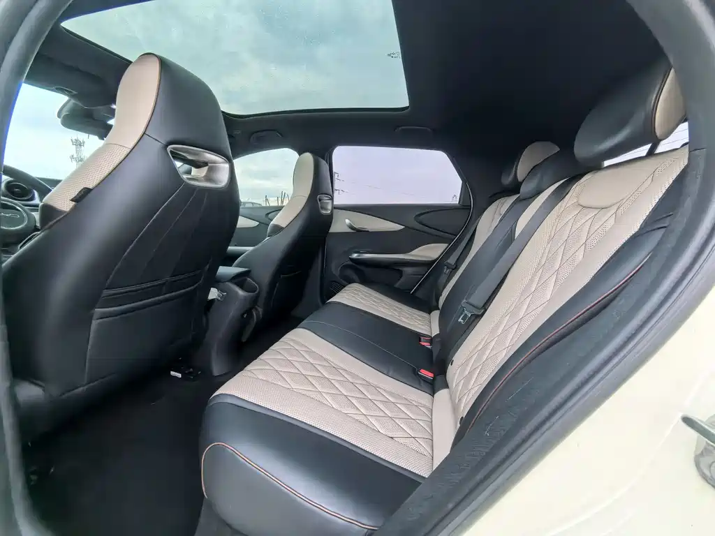 BYD Dolphin 2021 405km Fashion