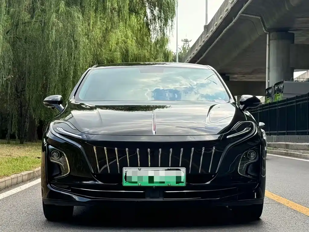 Hongqi Hongqi E-QM5 — миниатюра 2