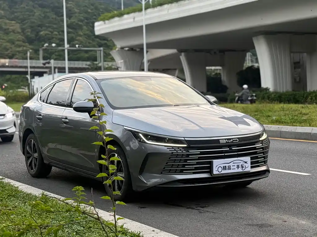 BYD Destroyer 05 — миниатюра 3