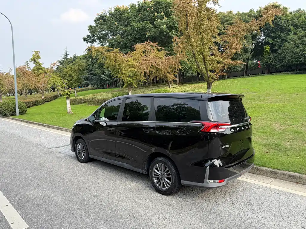 MAXUS G50 — миниатюра 6