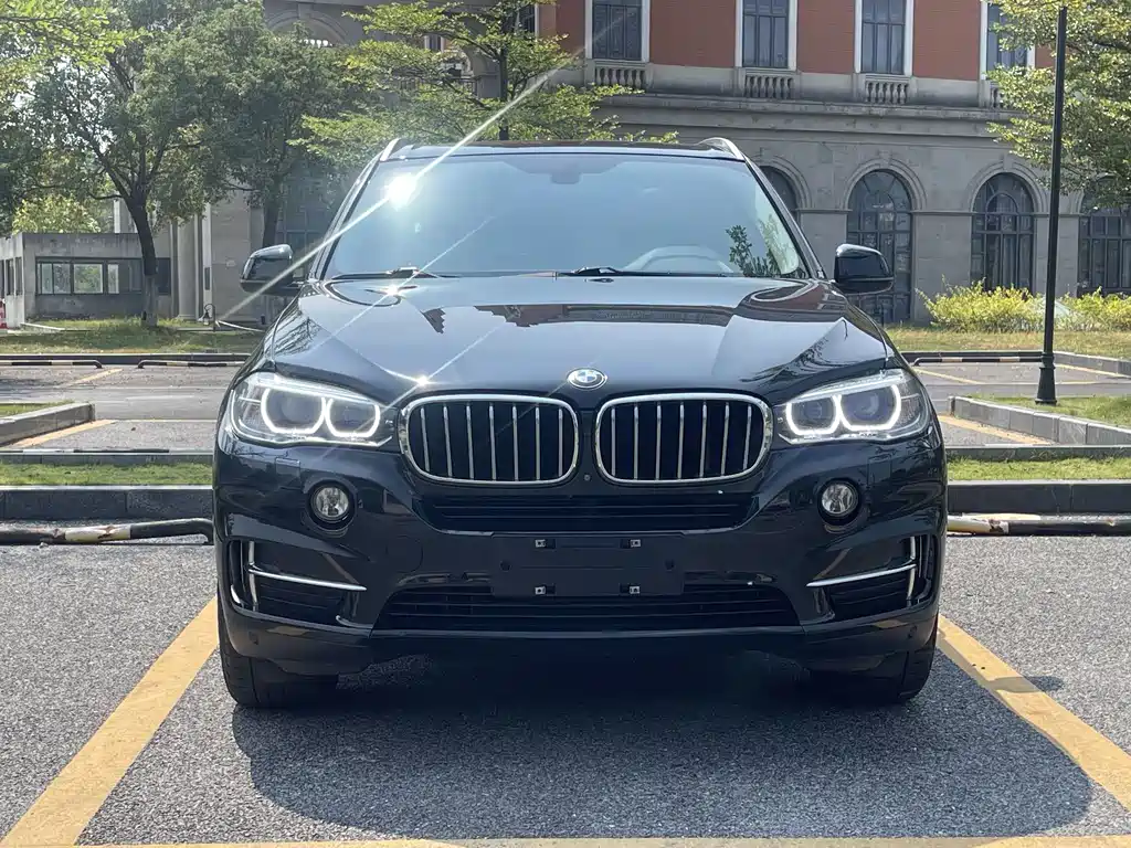 BMW X5 (Import) — миниатюра 2