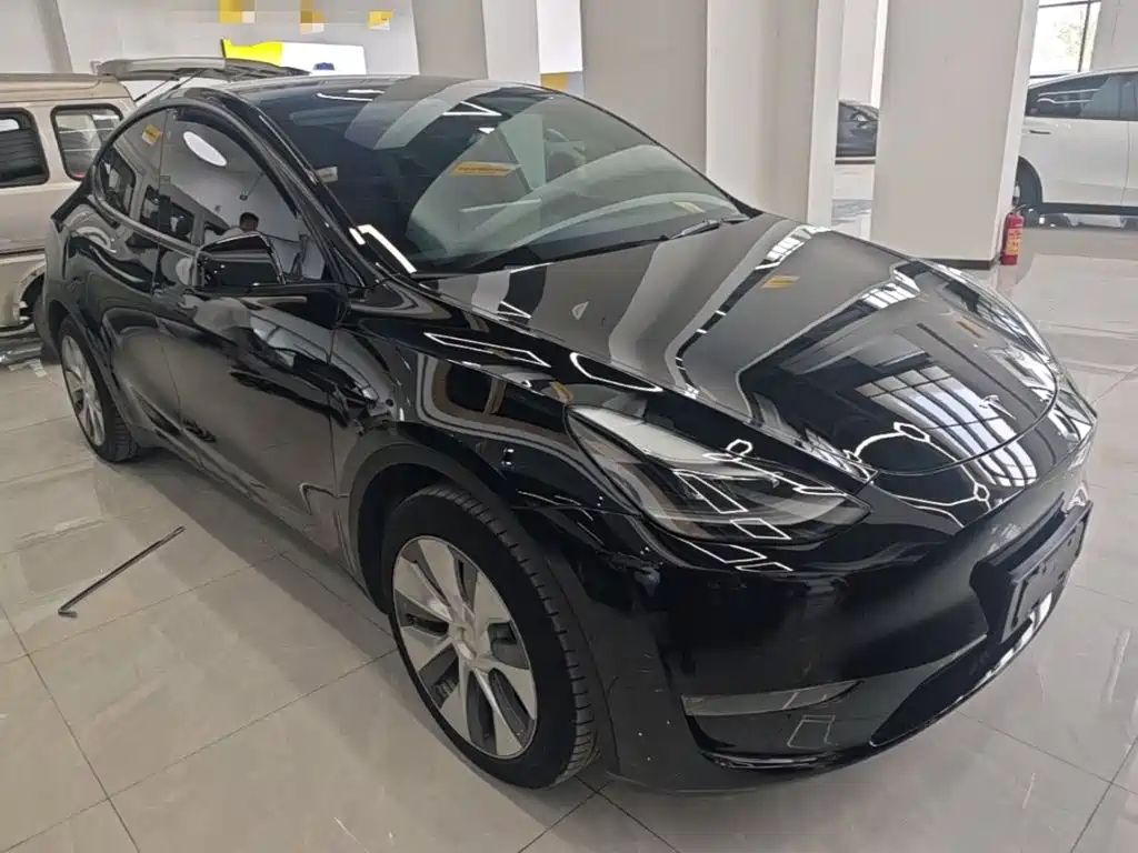 Tesla Model Y — миниатюра 4