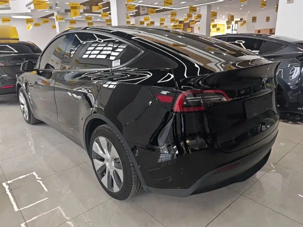 Tesla Model Y — миниатюра 5