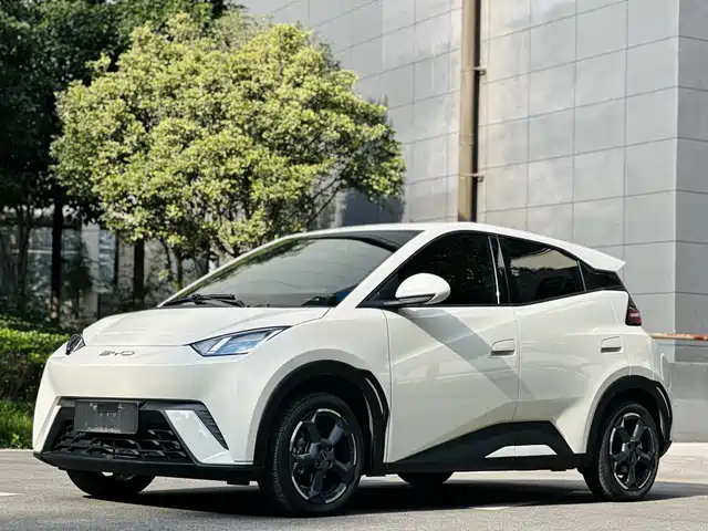 BYD SEAGULL 2024