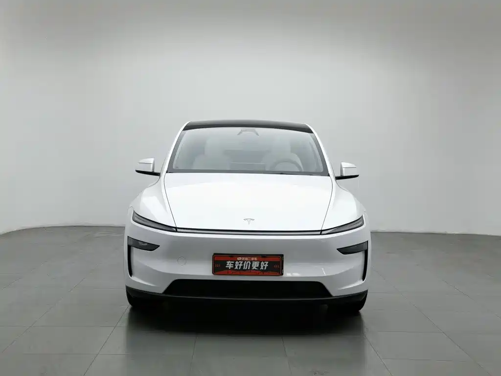 Tesla Model Y — фотографии объявления, Фото 4