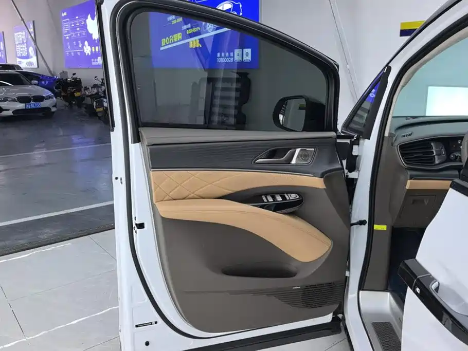 Denza Denza D9 — миниатюра 7