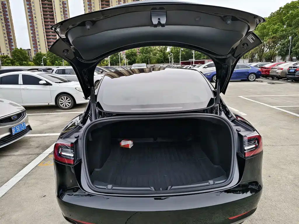 Tesla Model 3 — миниатюра 8