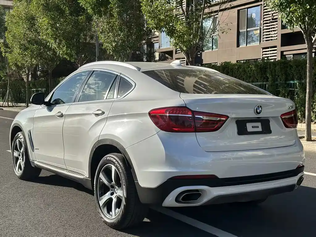 BMW X6 — миниатюра 3