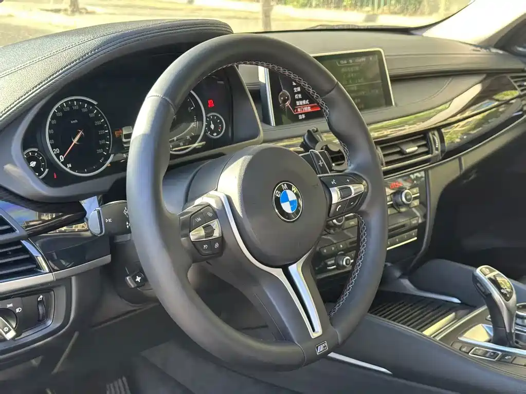 BMW X6 — миниатюра 17
