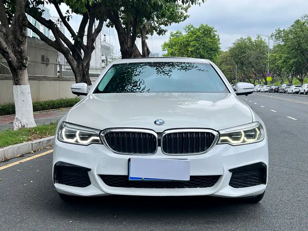 BMW 5 Series — миниатюра 2