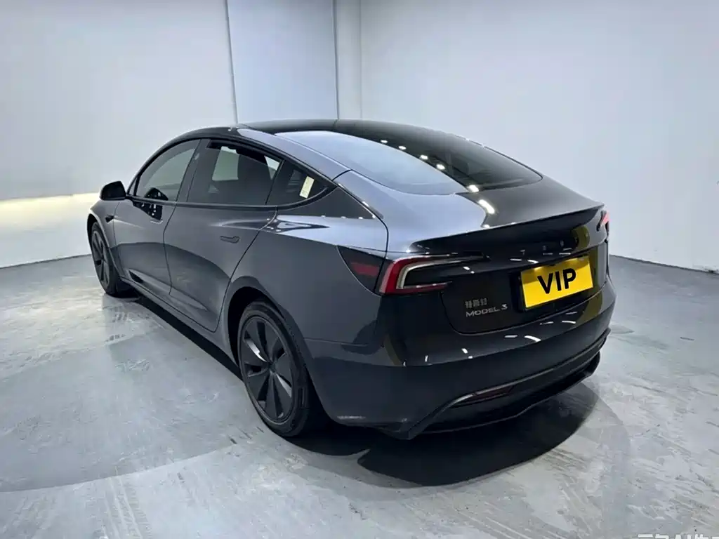 Tesla Model 3 — миниатюра 4