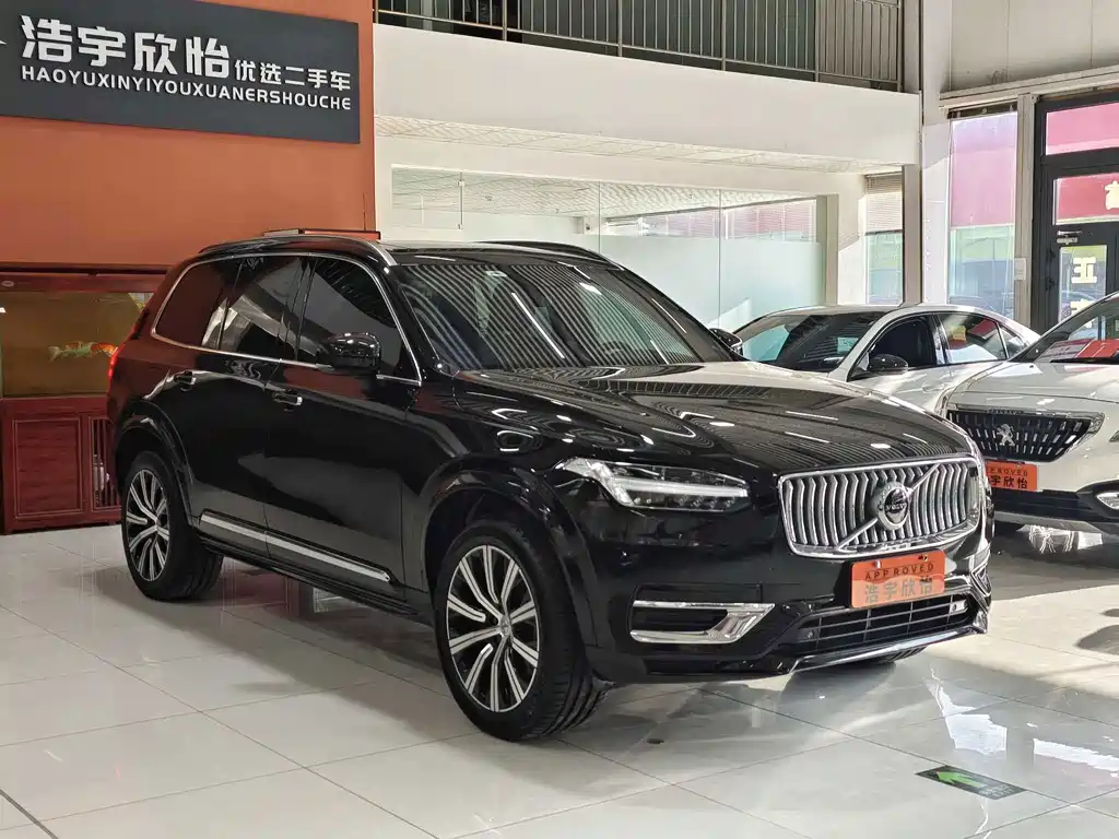 Volvo XC90 — миниатюра 3