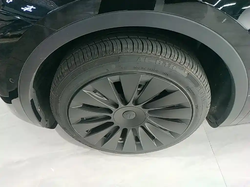Tesla Model Y — миниатюра 23