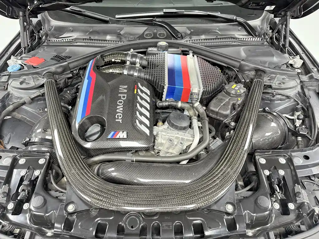 BMW M4 M4 GTS, фото 10