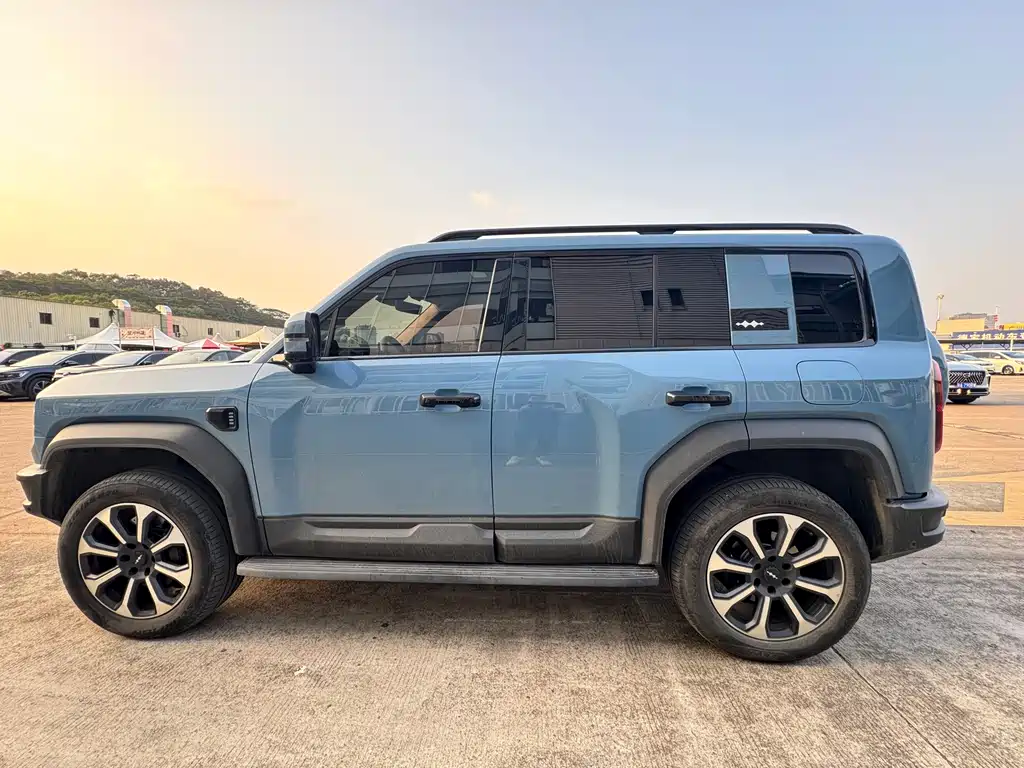 FANG CHENG BAO LEOPARD 5