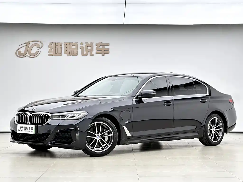 BMW 5 Series New Energy 2021