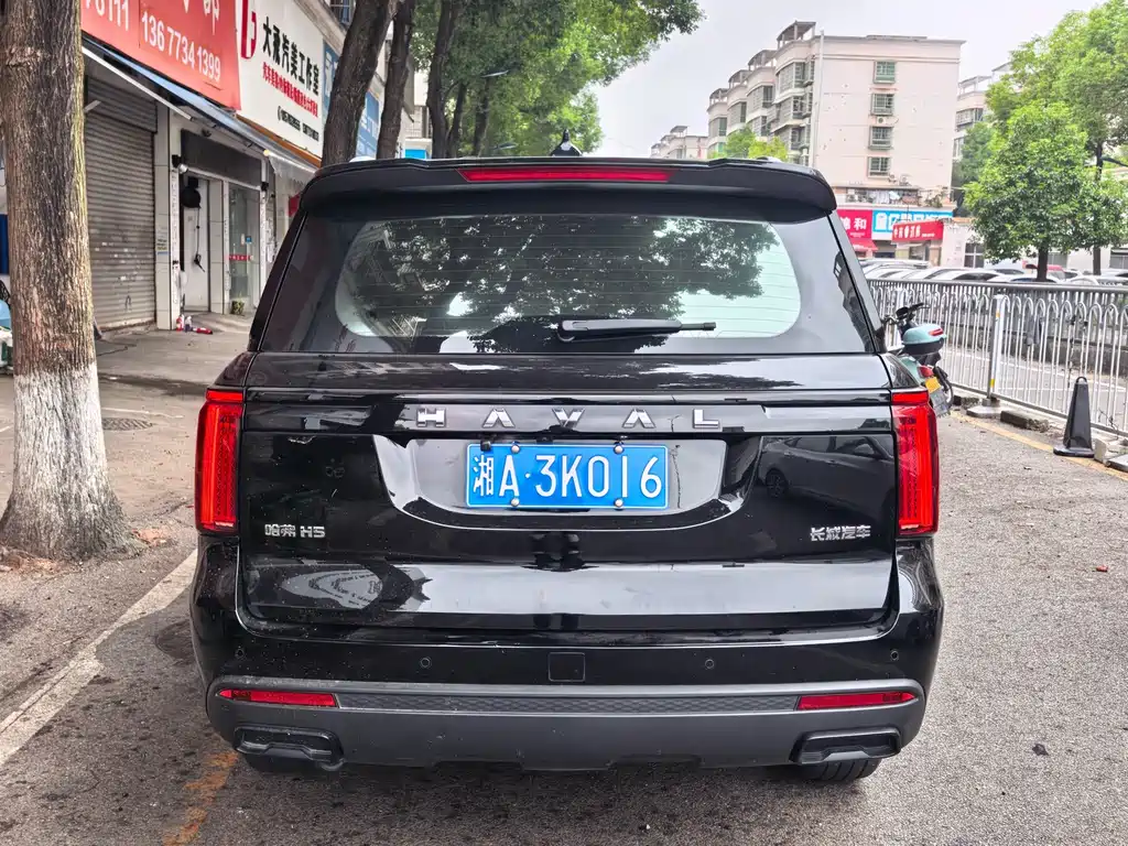 Haval H5 — миниатюра 10