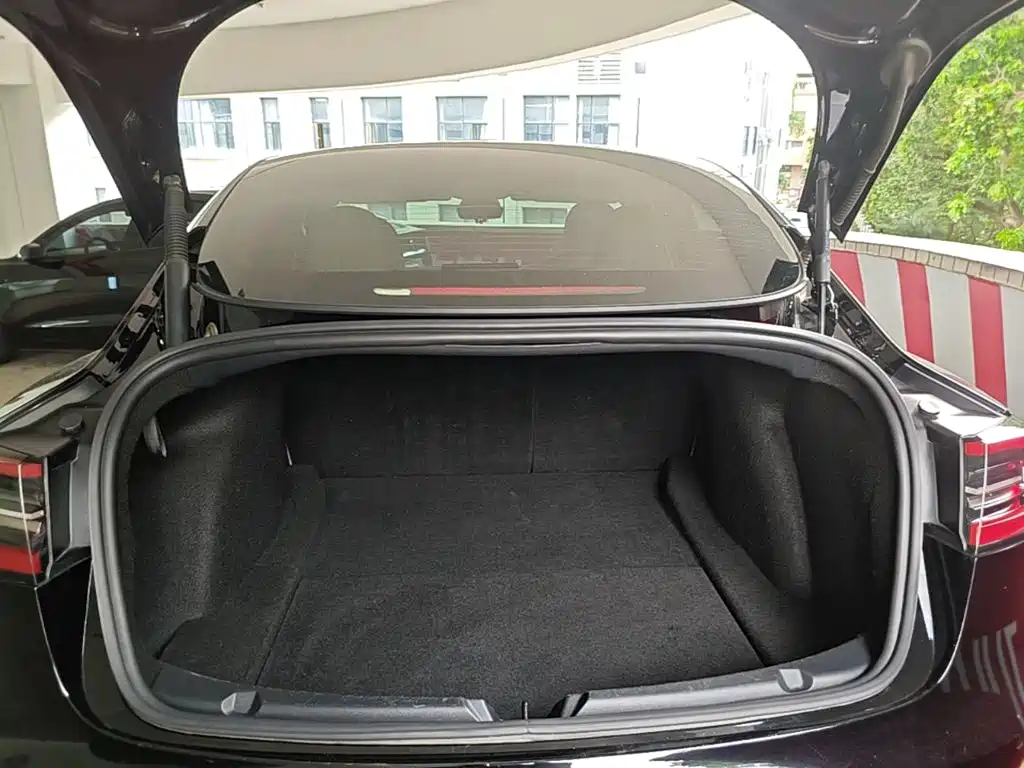 Tesla Model 3 — миниатюра 19