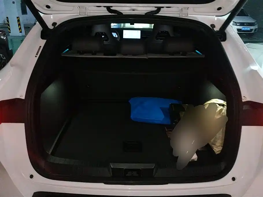 BYD Song Plus PLUS 2025 DM-i 112KM Luxury