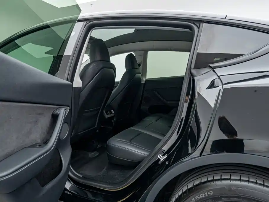 Tesla Model Y — миниатюра 15