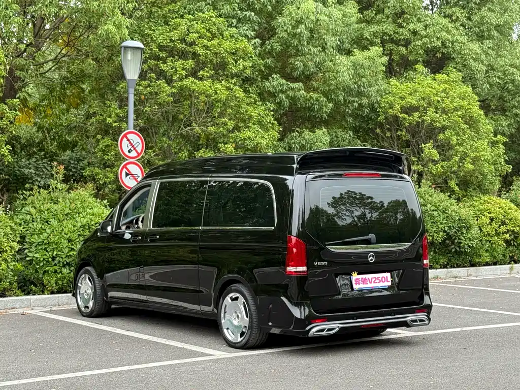 Mercedes-Benz V-Class (Import) — миниатюра 5