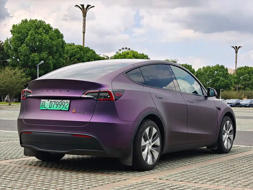 Tesla Model Y — миниатюра 6