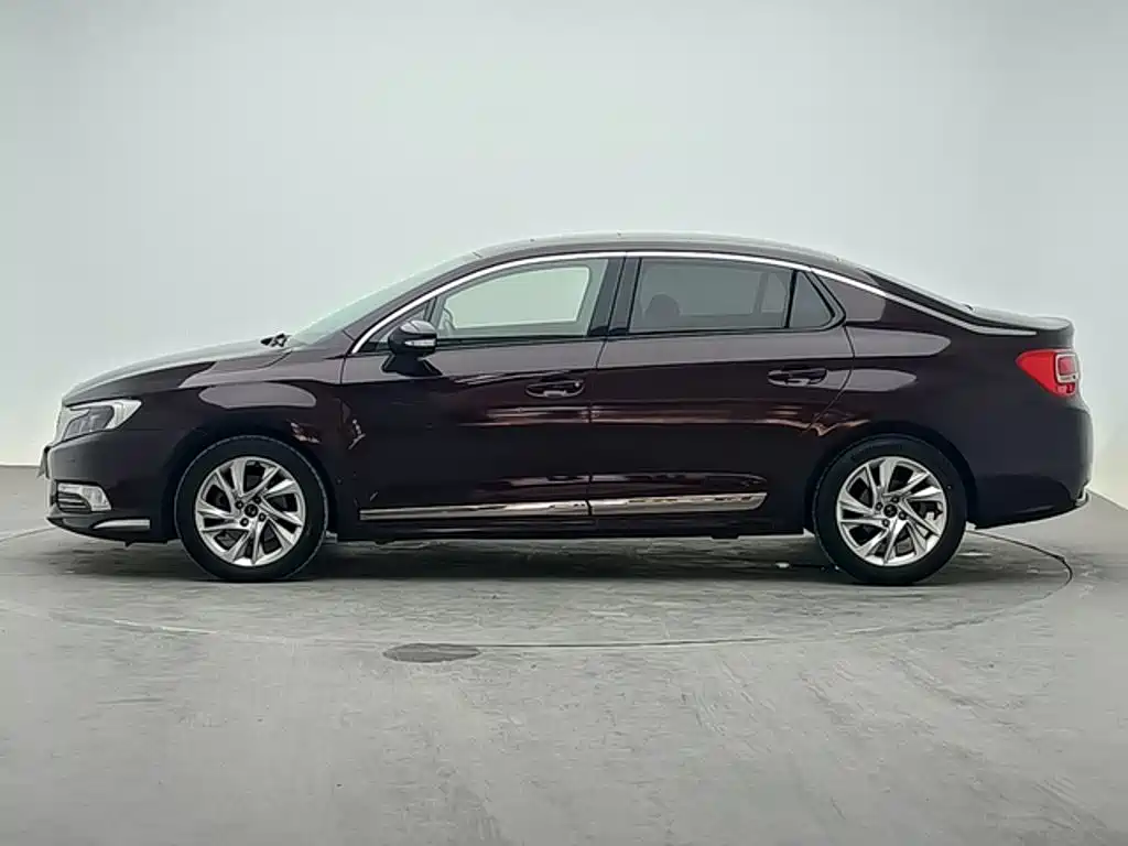DS DS 5LS — миниатюра 2