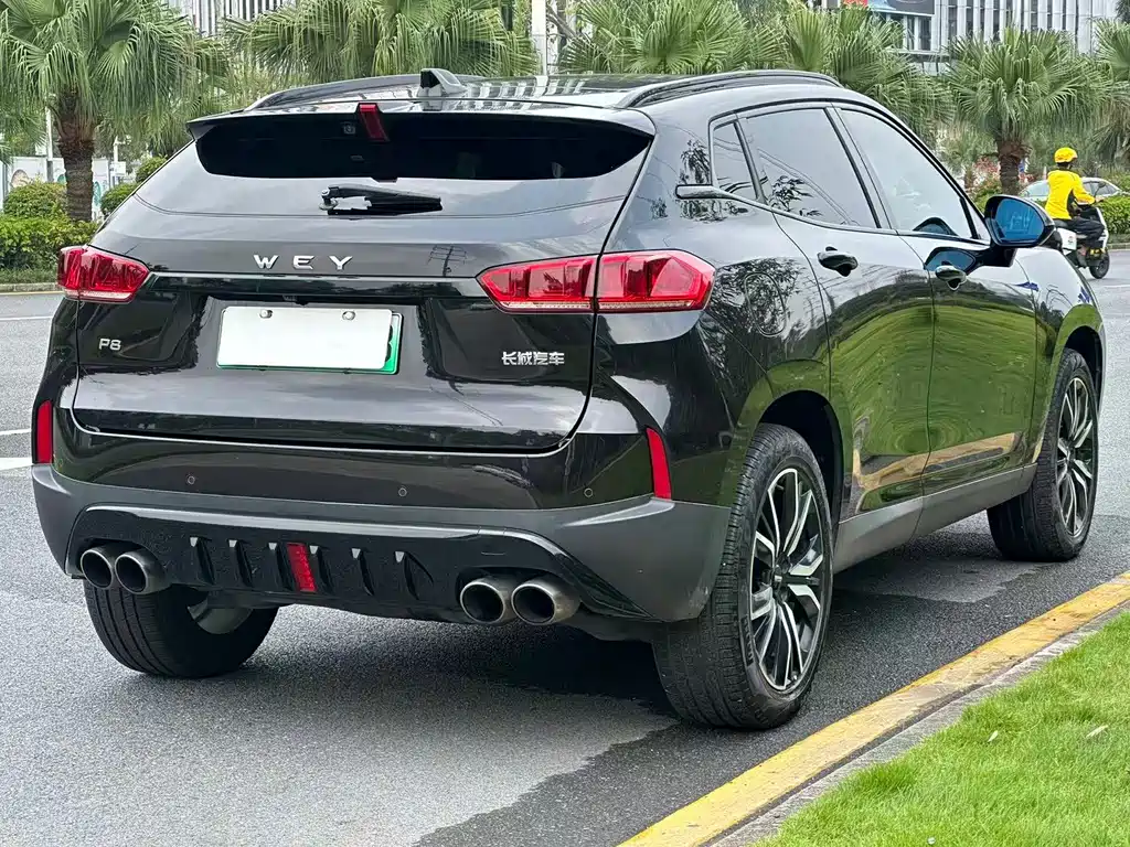 Wey Wey P8 — миниатюра 6
