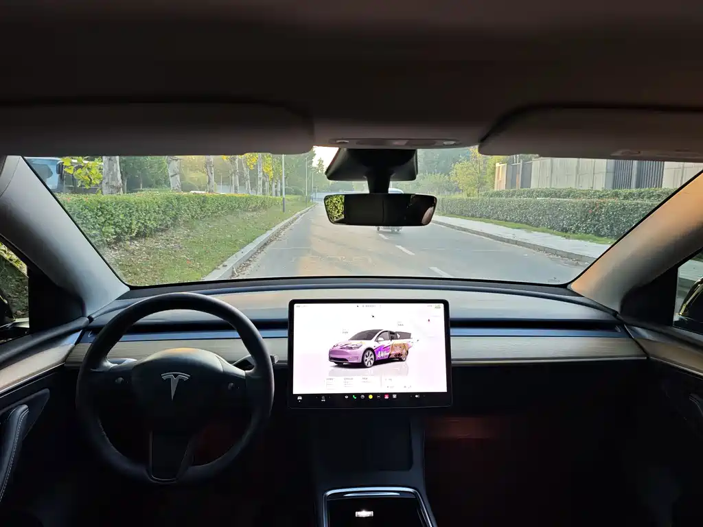 Tesla Model Y — миниатюра 6
