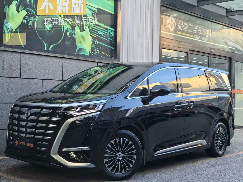 Denza Denza D9
